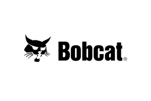 Bobcat